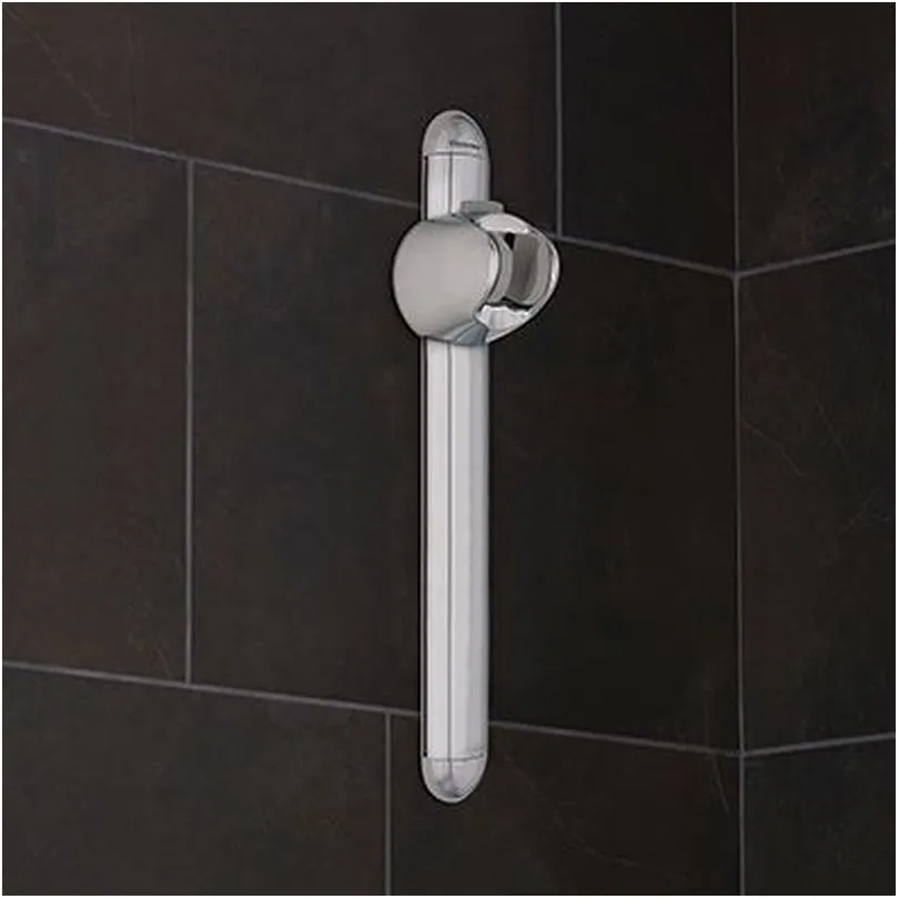Oxygenics Shower head holder